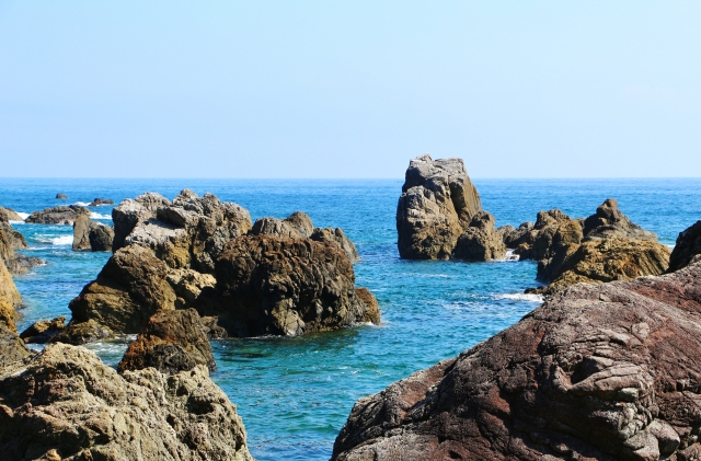 のれそれの旬と産地